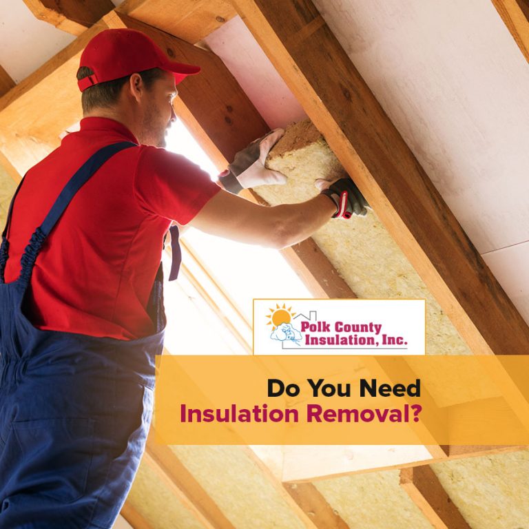 Do You Need Insulation Removal? Polk County Insulation